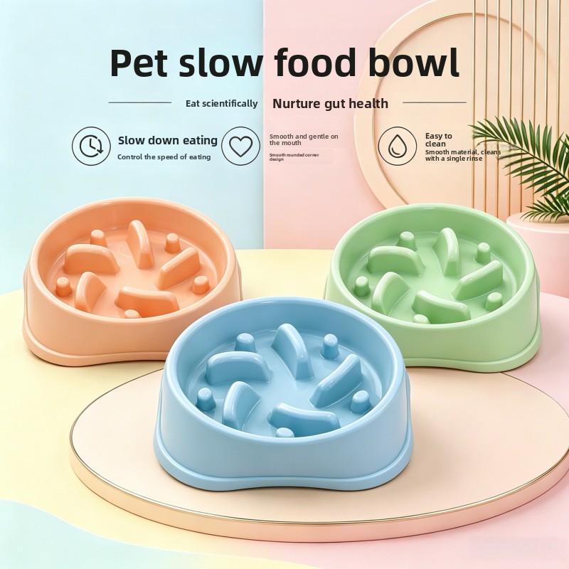 Royal Canin Food Medium - 1/3 adet Kaymaz Yavaş Besleyici Köpek
