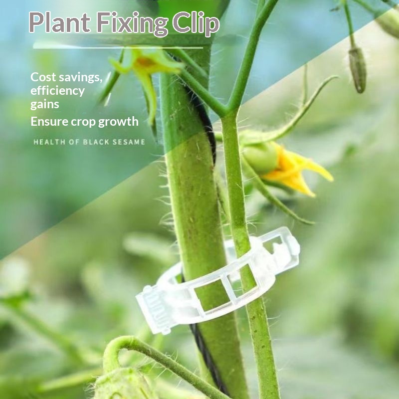 Vine Climbing Plastic - Plastik Bitki Destek Klipsleri, Domates ve