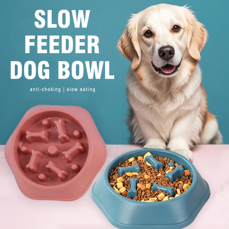Yeni Yavaş Besleyici Köpek Mam - Royal Canin Food Medium incelemesi ve fiyatı