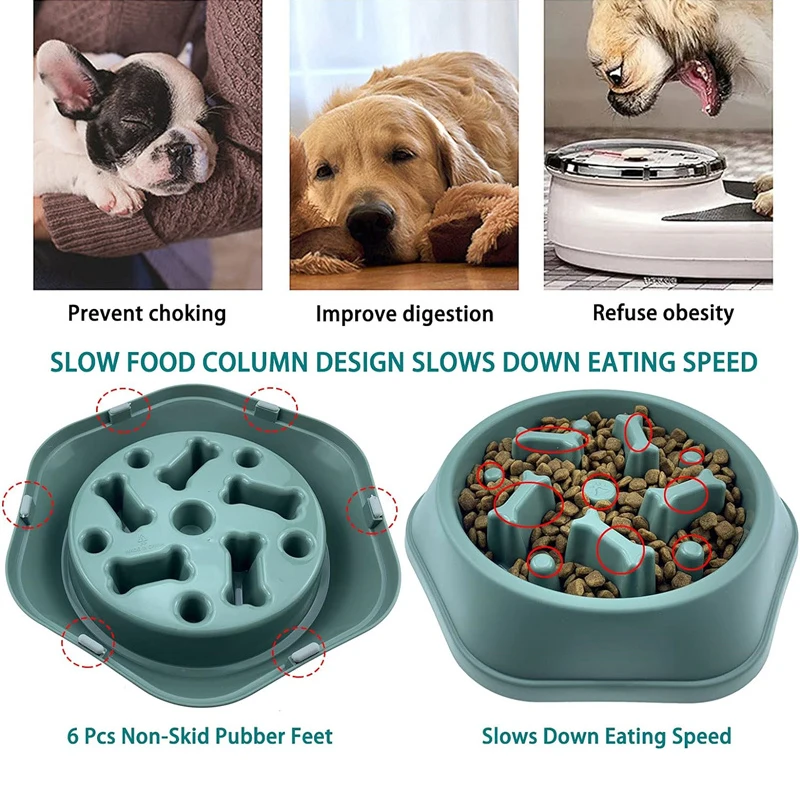 Yeni Yavaş Besleyici Köpek Mam - Royal Canin Food Medium incelemesi ve fiyatı