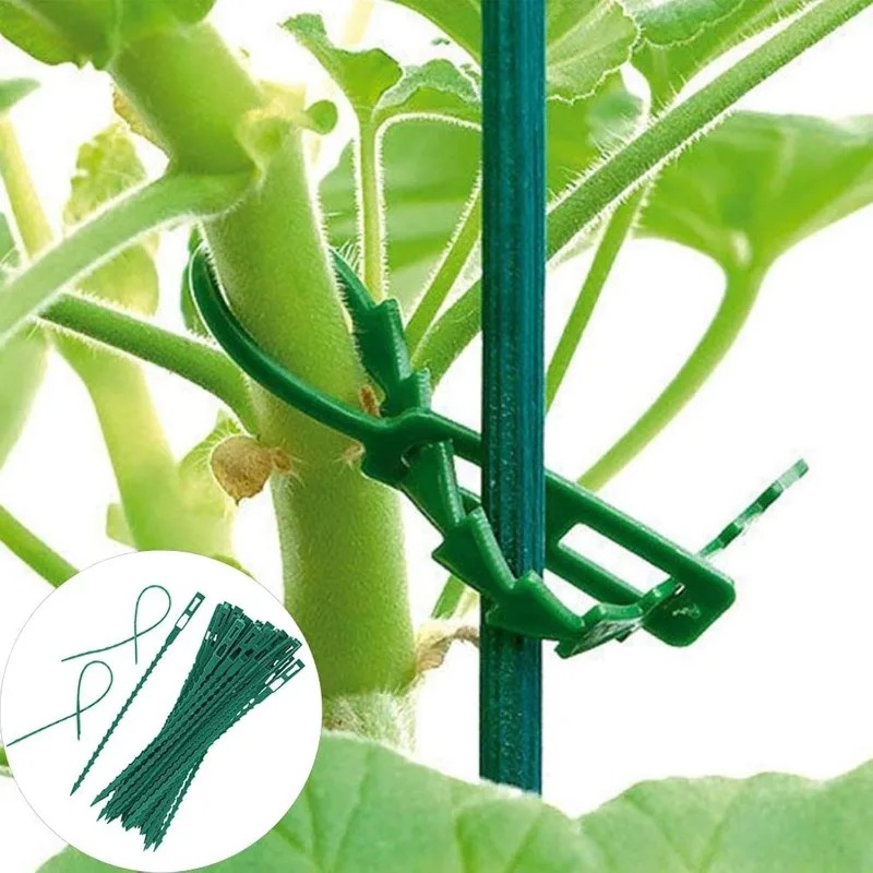 Toptan Satışta Kullanılabilir, - Vine Climbing Plastic incelemesi ve fiyatı