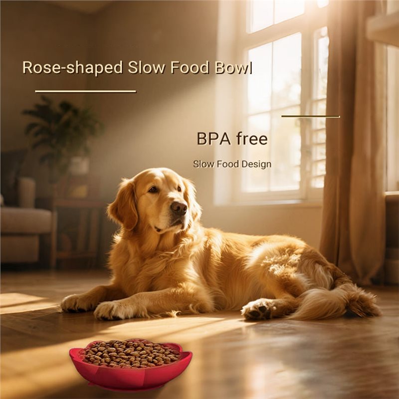 A11E-Pet Malzemeleri Silikon Y - Royal Canin Food Medium incelemesi ve fiyatı