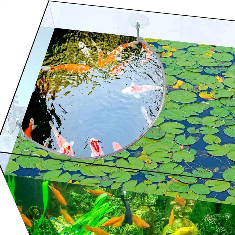 Yüzen Bitki Mercan Balığı Besl - Aquael Filter Fzn incelemesi ve fiyatı