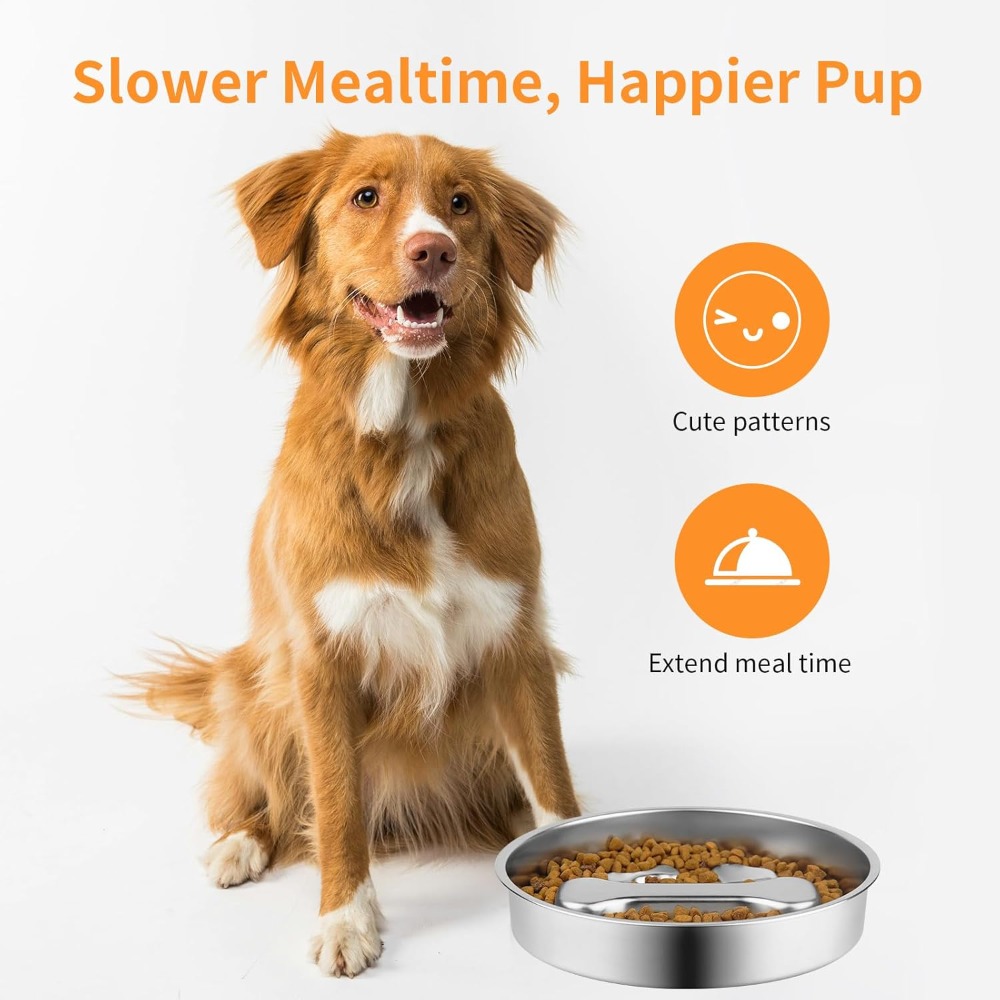 Yavaş Besleme Köpek Mama Kabı  - Royal Canin Food Medium incelemesi ve fiyatı