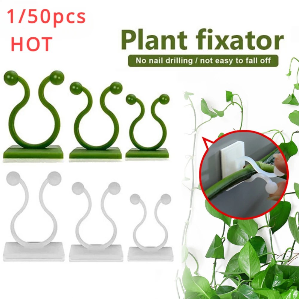 1/30/50 adet bahçe aksesuarlar - Vine Climbing Plastic incelemesi ve fiyatı