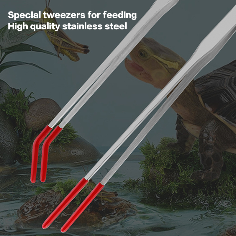 Kauçuk Uçlu Sürüngen Besleme M - Feeding Tong Stainless incelemesi ve fiyatı