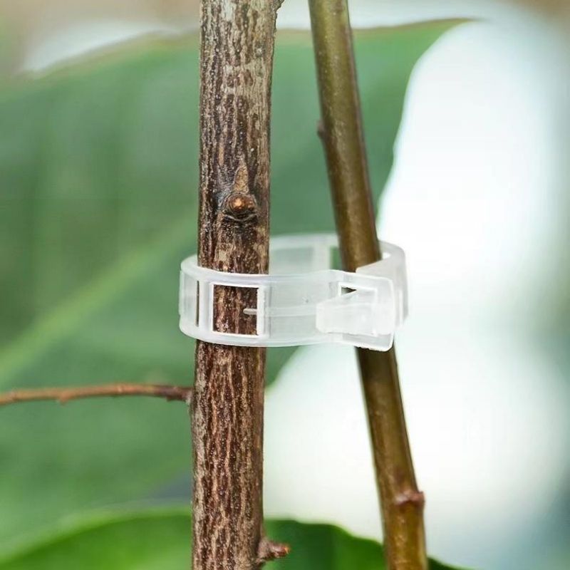 Plastik Bitki Destek Klipsleri - Vine Climbing Plastic incelemesi ve fiyatı